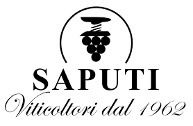 Marche Chardonnay “NoiDue” 2019 IGT - Cantina Saputi