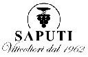 Verdicchio Classico Superiore “Cantavino” 2019 - Cantina Saputi