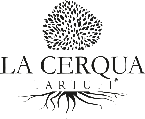 Ketchup et truffes (Tartufo estivo) 90gr - La Cerqua Tartufi