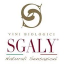 Falerio Pecorino D.O.C. 2020 - Sgaly Vini